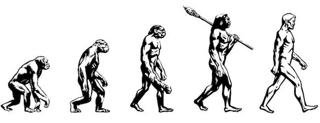 Origen de la contabilidad